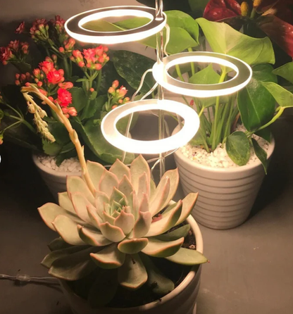 HaloTech LED Grow Light